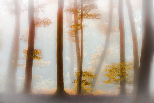 1095097 (a): :2560x1709